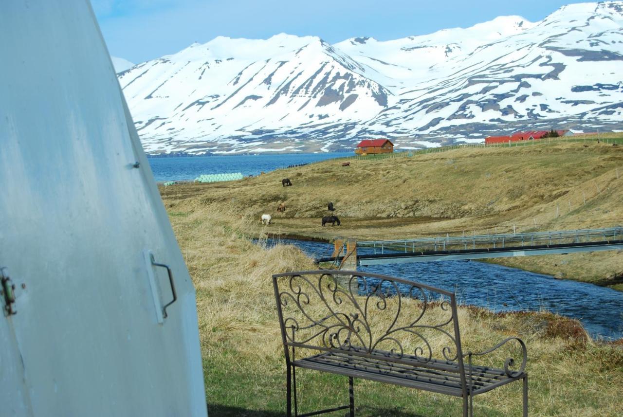 Sky Sighting Igluhus - Stay'In Arbakki Arskogssandur Exteriér fotografie